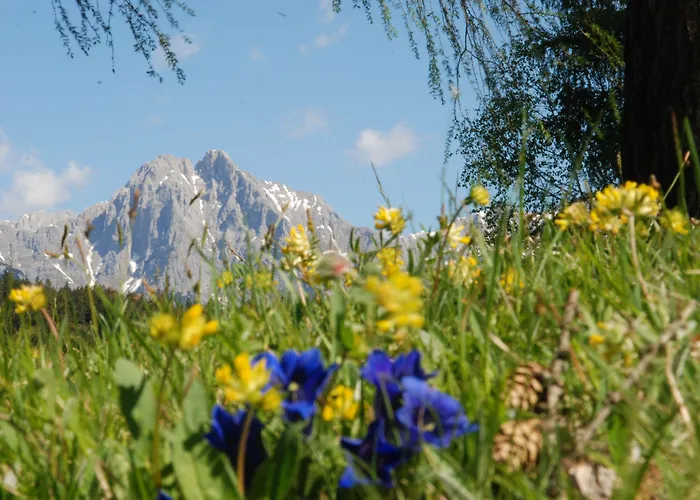 فندق لاندهاوس كلوسنيرهوف غارني 3*