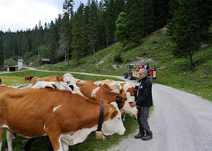 لاندهاوس كلوسنيرهوف غارني