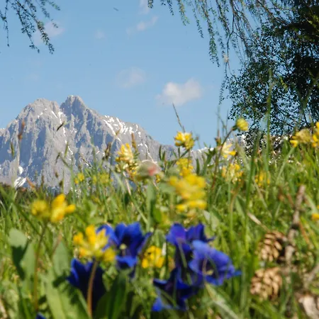 Hotel Klausnerhof Garni 3*